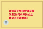 盆栽灵芝如何护理花瓣发黑(如何有效防止盆栽灵芝花瓣变黑)