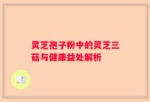 灵芝孢子粉中的灵芝三菇与健康益处解析
