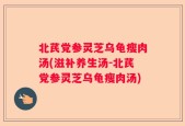 北芪党参灵芝乌龟瘦肉汤(滋补养生汤-北芪党参灵芝乌龟瘦肉汤)