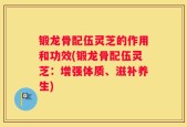 锻龙骨配伍灵芝的作用和功效(锻龙骨配伍灵芝：增强体质、滋补养生)