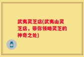 武夷灵芝店(武夷山灵芝店，带你领略灵芝的神奇之处)