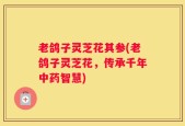 老鸽子灵芝花其参(老鸽子灵芝花，传承千年中药智慧)