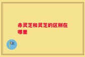 赤灵芝和灵芝的区别在哪里