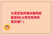 小灵芝有药用价值吗百度百科(小灵芝有何药用价值？)