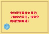 金边灵芝是什么灵芝(了解金边灵芝，探究它的功效和用途)