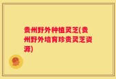 贵州野外种植灵芝(贵州野外培育珍贵灵芝资源)