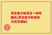 灵芝孢子和灵芝一样吗图片(灵芝孢子的功效与灵芝相似)