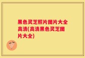 黑色灵芝照片图片大全高清(高清黑色灵芝图片大全)