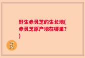 野生赤灵芝的生长地(赤灵芝原产地在哪里？)