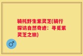 骑托野生紫灵芝(骑行探访自然奇迹：寻觅紫灵芝之旅)
