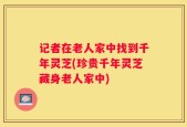 记者在老人家中找到千年灵芝(珍贵千年灵芝藏身老人家中)