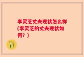 李灵芝丈夫现状怎么样(李灵芝的丈夫现状如何？)