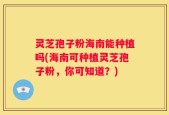 灵芝孢子粉海南能种植吗(海南可种植灵芝孢子粉，你可知道？)
