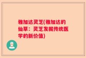 雅加达灵芝(雅加达的仙草：灵芝发掘传统医学的新价值)