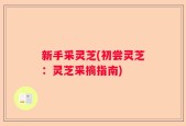 新手采灵芝(初尝灵芝：灵芝采摘指南)