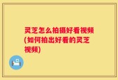 灵芝怎么拍摄好看视频(如何拍出好看的灵芝视频)