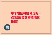 哪个地区种植灵芝好一点(优质灵芝种植地区推荐)