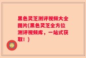 黑色灵芝测评视频大全图片(黑色灵芝全方位测评视频库，一站式获取！)