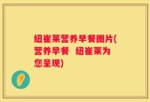 纽崔莱营养早餐图片(营养早餐  纽崔莱为您呈现)