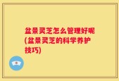 盆景灵芝怎么管理好呢(盆景灵芝的科学养护技巧)