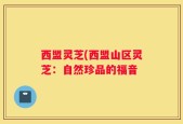 西盟灵芝(西盟山区灵芝：自然珍品的福音