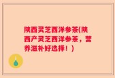 陕西灵芝西洋参茶(陕西产灵芝西洋参茶，营养滋补好选择！)
