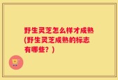 野生灵芝怎么样才成熟(野生灵芝成熟的标志有哪些？)