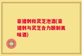 豪猪刺和灵芝泡酒(豪猪刺与灵芝合力酿制美味酒)