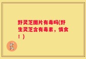 野灵芝图片有毒吗(野生灵芝含有毒素，慎食！)
