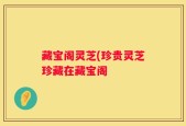 藏宝阁灵芝(珍贵灵芝珍藏在藏宝阁