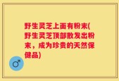 野生灵芝上面有粉末(野生灵芝顶部散发出粉末，成为珍贵的天然保健品)