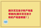 鹊华灵芝孢子粉产地是哪里的(鹊华灵芝孢子粉的产地是哪里？)