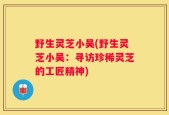 野生灵芝小吴(野生灵芝小吴：寻访珍稀灵芝的工匠精神)