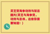 灵芝煲海参功效与禁忌图片(灵芝与海参煲，功效与忌讳，这些你需要知道！)