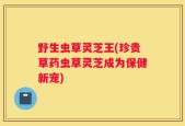 野生虫草灵芝王(珍贵草药虫草灵芝成为保健新宠)