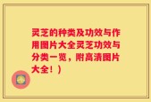 灵芝的种类及功效与作用图片大全灵芝功效与分类一览，附高清图片大全！)