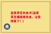 盆景灵芝长虫子(盆景灵芝遭遇寄生虫，让你惊呆了！)