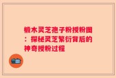 椴木灵芝孢子粉授粉图：探秘灵芝繁衍背后的神奇授粉过程