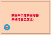 安图采灵芝安图探秘 采摘珍贵灵芝记)