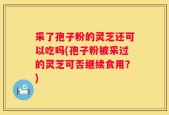 采了孢子粉的灵芝还可以吃吗(孢子粉被采过的灵芝可否继续食用？)