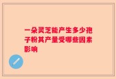 一朵灵芝能产生多少孢子粉其产量受哪些因素影响