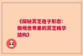 《探秘灵芝孢子形态：微观世界里的灵芝精华结构》