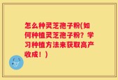怎么种灵芝孢子粉(如何种植灵芝孢子粉？学习种植方法来获取高产收成！)
