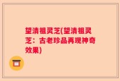 望清祖灵芝(望清祖灵芝：古老珍品再现神奇效果)
