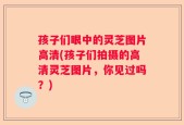 孩子们眼中的灵芝图片高清(孩子们拍摄的高清灵芝图片，你见过吗？)
