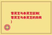 雪灵芝与赤灵芝区别(雪灵芝与赤灵芝的异同)