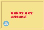 溯溪找灵芝(寻灵芝：追溯溪流源头)