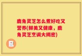 鹿角灵芝怎么煮好吃又营养(鲜美又健康，鹿角灵芝烹调大揭密)