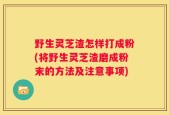 野生灵芝渣怎样打成粉(将野生灵芝渣磨成粉末的方法及注意事项)