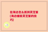 在海边怎么抓到灵芝蟹(海边捕捉灵芝蟹的技巧)